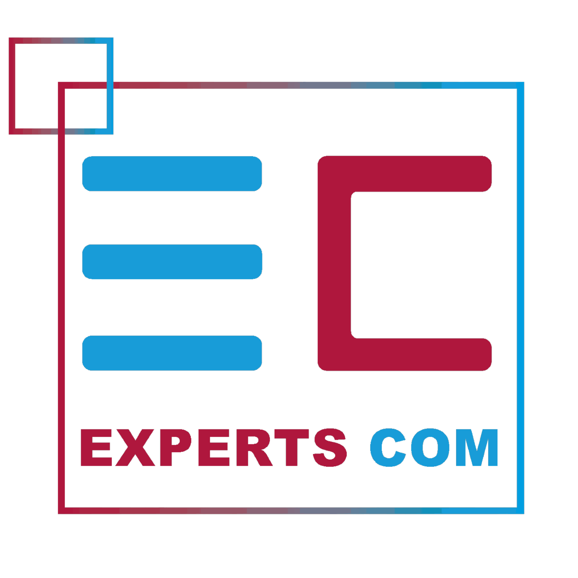 Experts Com